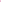 Lip Balm Rose
